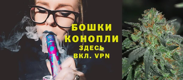 PSILOCYBIN Мегион